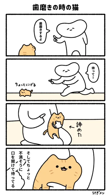 歯磨きの時の猫 