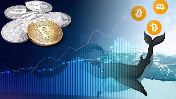 HanhChi21's tweet photo. Các nhà nắm giữ Bitcoin lớn đã tích lũy $1.5 tỷ USD BTC khi giá dao động.

Đây là chiến lược đầu tư dài hạn, chống lạm phát và tin vào sự phát triển của Bitcoin.

 Các nhà đầu tư tổ chức cũng đóng vai trò quan trọng. #Bitcoin https://t.co/NZWlfNtwEE