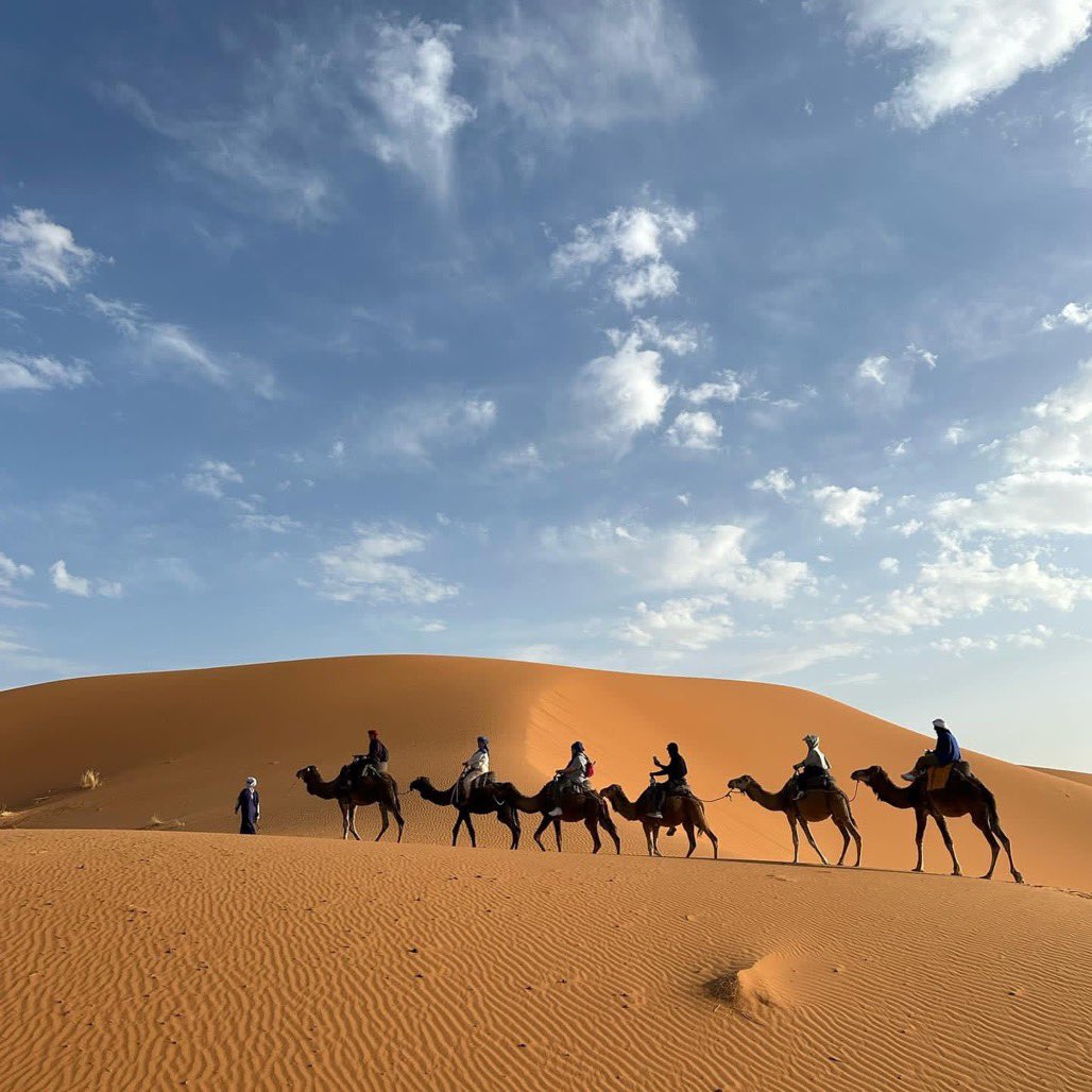 merzougatour's tweet photo. Immerse yourself in a postcard decor while crossing the Erg Chebbi with camels 🐪. Contact us to help you plan your next adventure in Morocco 🇲🇦
.
.
.
.
#moroccotravel #travelmorocco #maroc #marrakech #inmorocco #visitmorocco #merzouga #ergchebbi #saharadesert https://t.co/iPx6bxA8v9