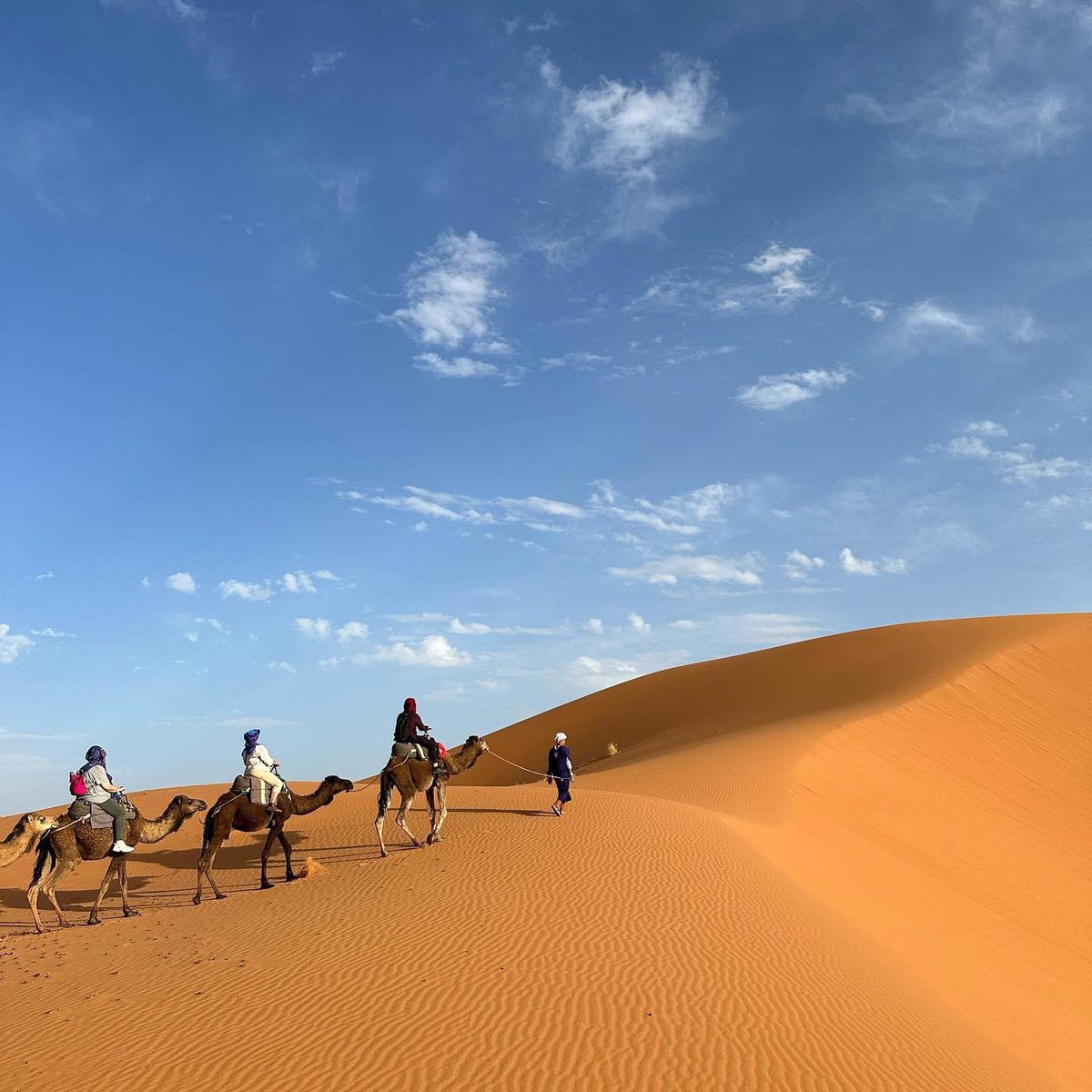 merzougatour's tweet photo. Immerse yourself in a postcard decor while crossing the Erg Chebbi with camels 🐪. Contact us to help you plan your next adventure in Morocco 🇲🇦
.
.
.
.
#moroccotravel #travelmorocco #maroc #marrakech #inmorocco #visitmorocco #merzouga #ergchebbi #saharadesert https://t.co/iPx6bxA8v9