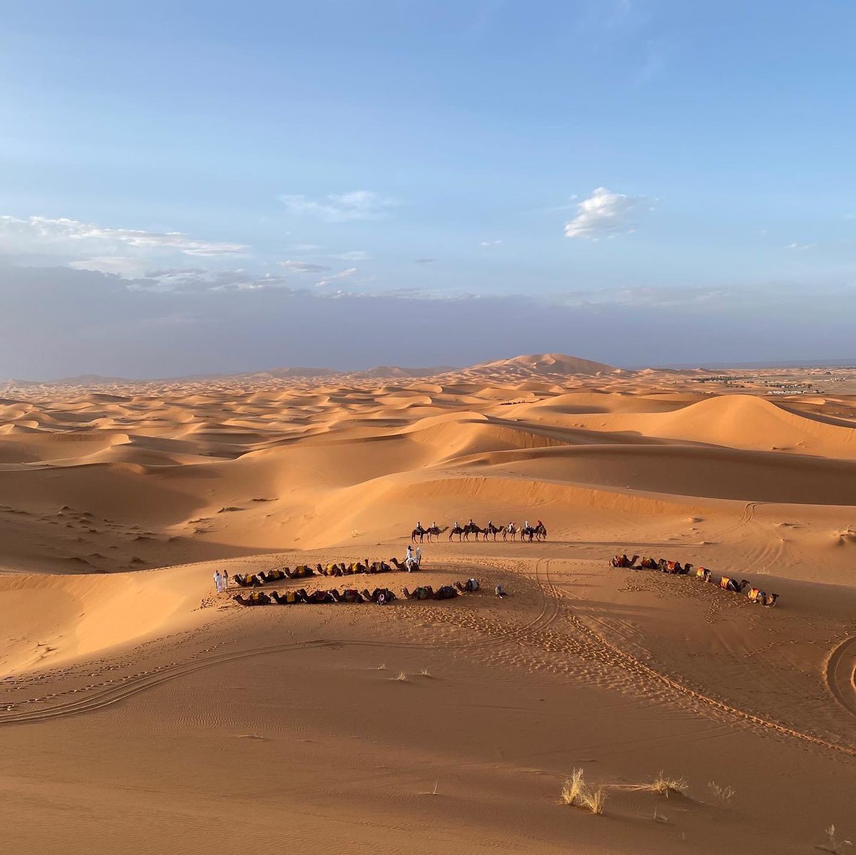 merzougatour's tweet photo. Immerse yourself in a postcard decor while crossing the Erg Chebbi with camels 🐪. Contact us to help you plan your next adventure in Morocco 🇲🇦
.
.
.
.
#moroccotravel #travelmorocco #maroc #marrakech #inmorocco #visitmorocco #merzouga #ergchebbi #saharadesert https://t.co/iPx6bxA8v9