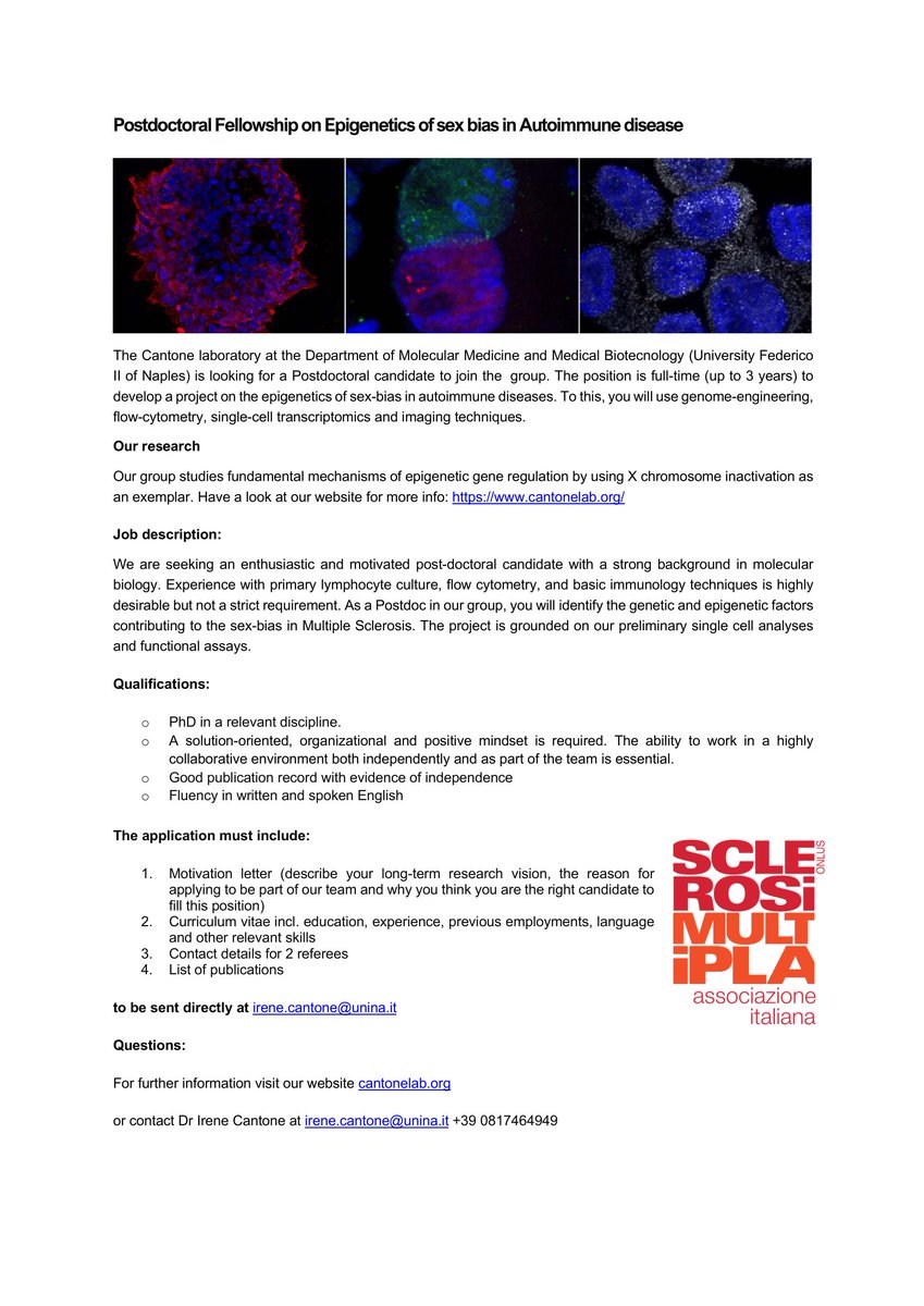 CantoneIrene's tweet image. We are looking for a #postdoc to join our group (up to 3yrs):
- Develop a project on the #epigenetics of #sex_bias in #autoimmunity using our favorite model system: #XChromosomeInactivation
- Use genome-engineering, flow-cytometry, single-cell transcriptomics and more
Please RT