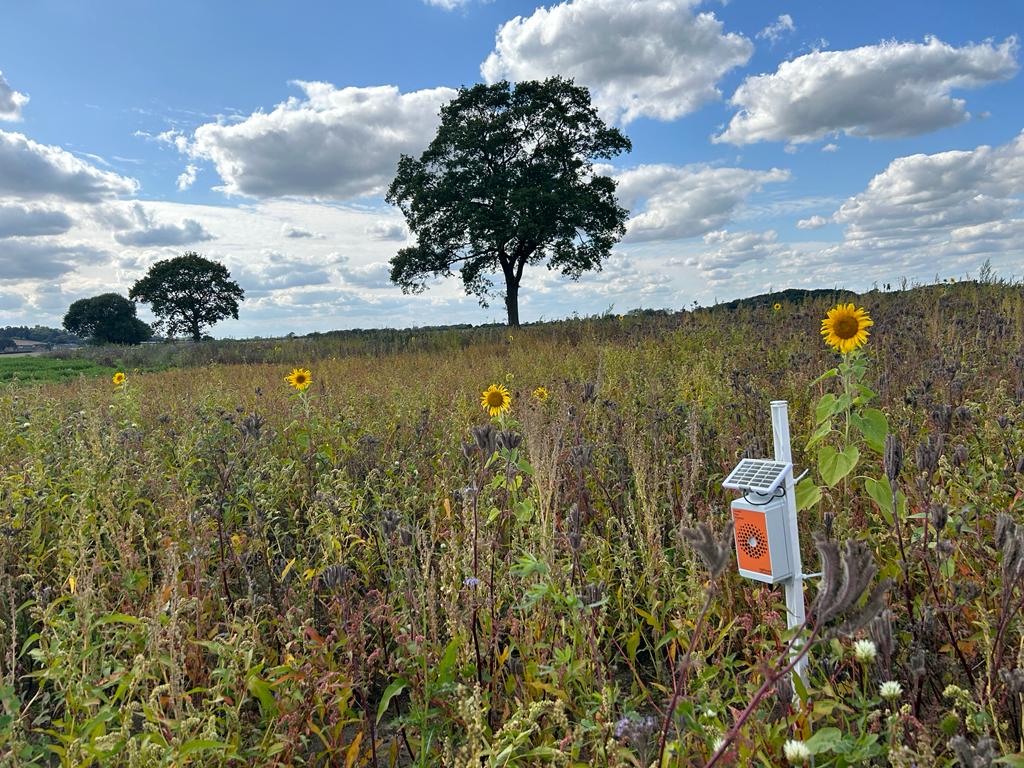 AgriSound boxes are installed &amp; ready to listen to the pollinator activity in our wild flower strips in Yorkshire!🐝🌻<a href="/AgriSoundTech/">AgriSound</a>