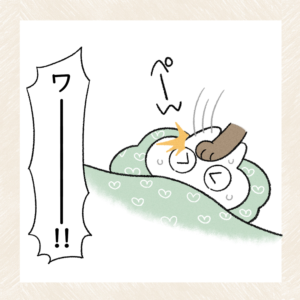 あずきさんのこだわり #シャム猫あずきさんは世界の中心
