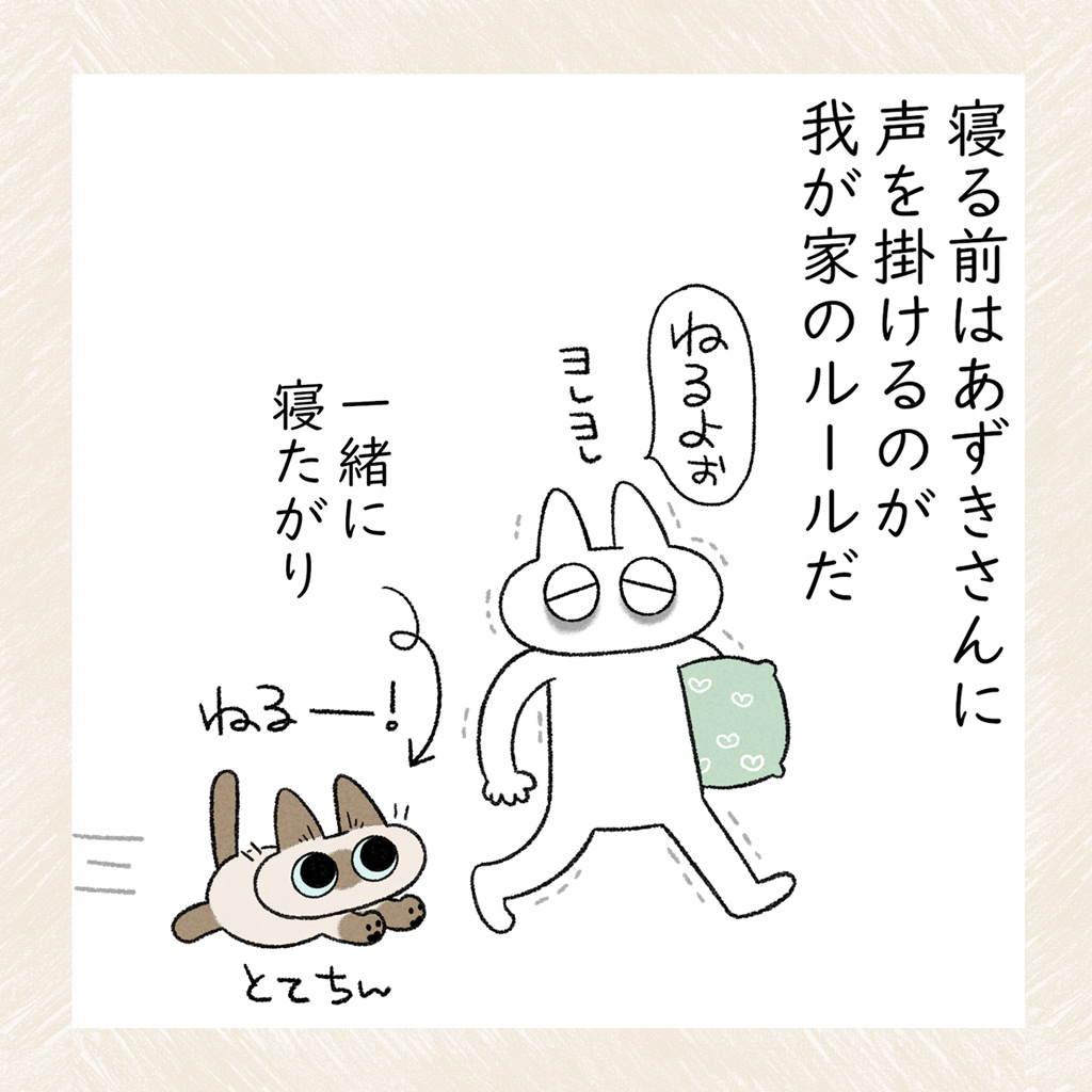 あずきさんのこだわり #シャム猫あずきさんは世界の中心