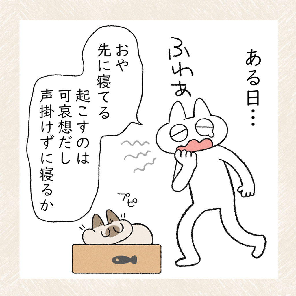 あずきさんのこだわり #シャム猫あずきさんは世界の中心