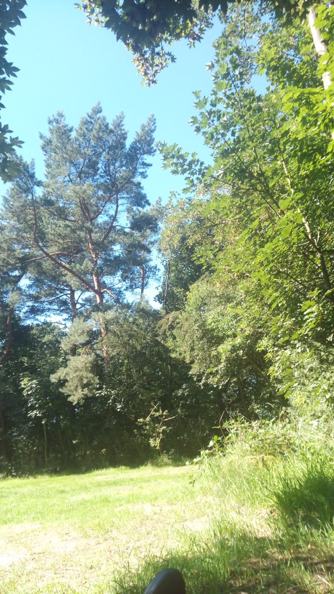 jxetkubo's tweet image. Auch heute wieder allerschönstes Wetter in #Tydal. Das Zelt ist angebaut. Gleich gebt es zum Bus.