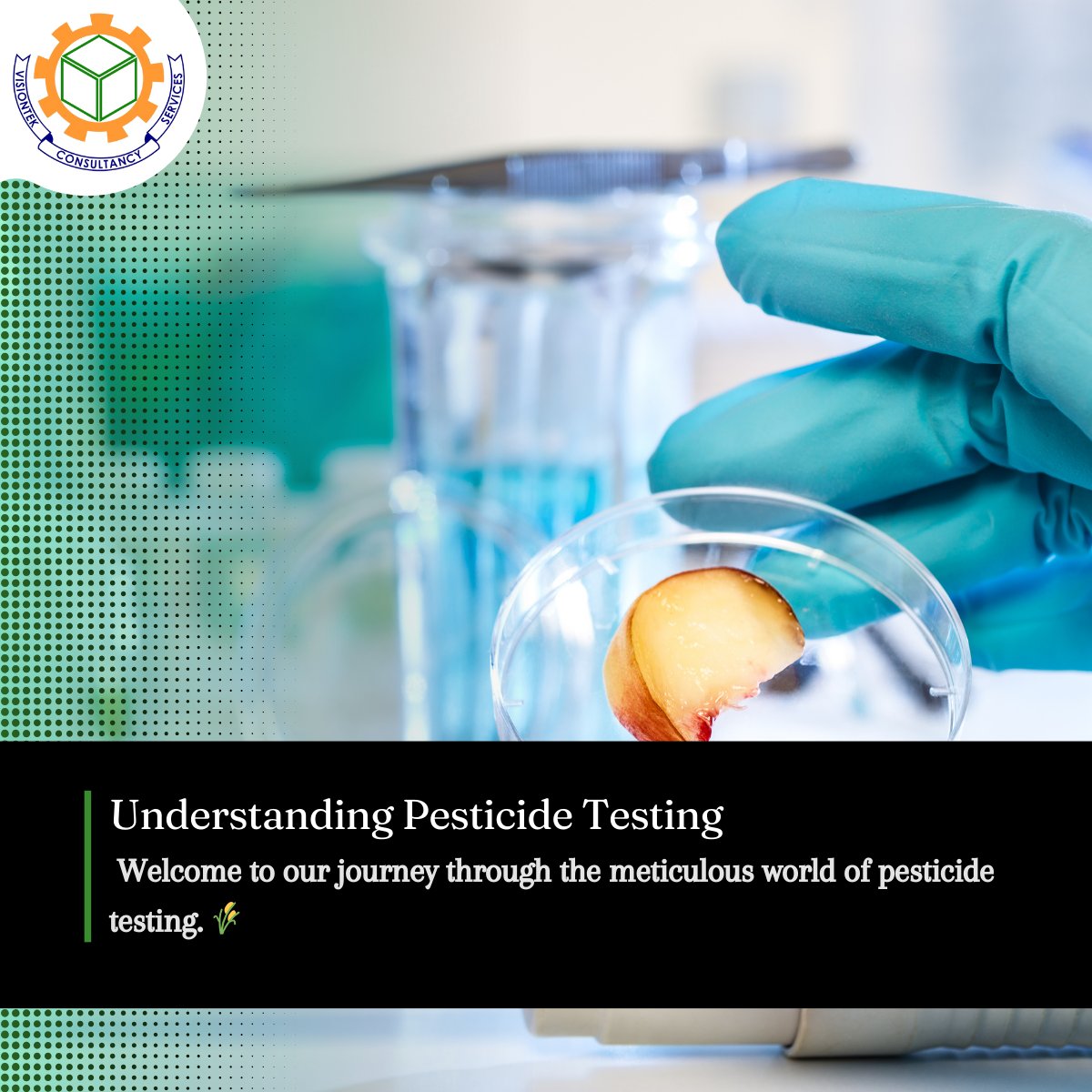 Visiontekcs's tweet image. &quot;🌱 Ever wondered how we ensure your food is pesticide-free? Join us on a journey through the meticulous world of pesticide testing! From the fields to the lab, we leave no leaf unturned. 🌾🔬 #PesticideTesting #FoodSafety #QualityAssurance #Visiontek&quot;