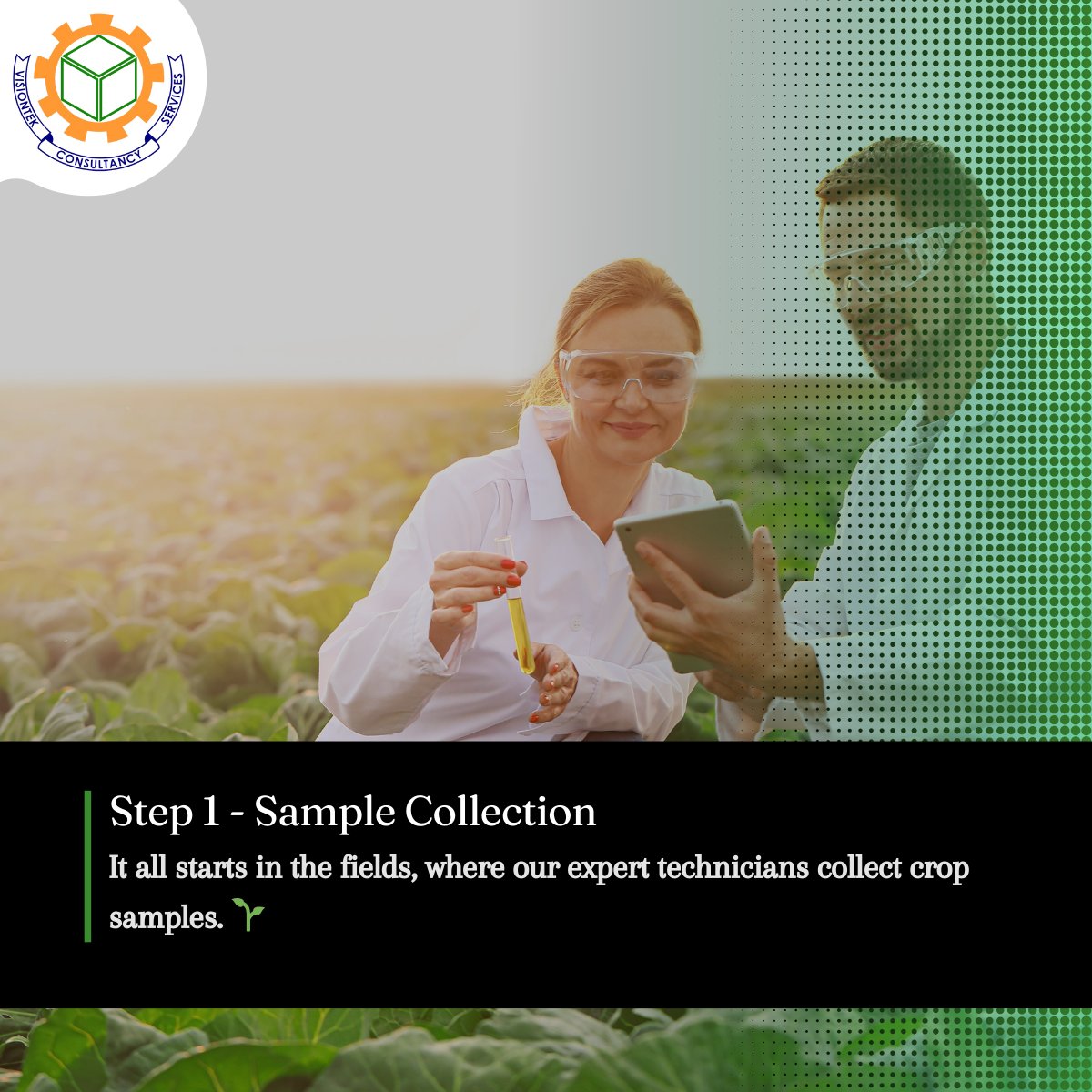 Visiontekcs's tweet image. &quot;🌱 Ever wondered how we ensure your food is pesticide-free? Join us on a journey through the meticulous world of pesticide testing! From the fields to the lab, we leave no leaf unturned. 🌾🔬 #PesticideTesting #FoodSafety #QualityAssurance #Visiontek&quot;