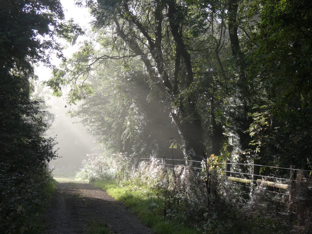 ksampford's tweet photo. Misty start to what’s going to be another scorcher 😎 @ThePhotoHour @StormHour @metoffice #weather #walking #photograghy #misty #fog #hot #September #Oxfordshire #Countryside https://t.co/I4cRu2XkjO