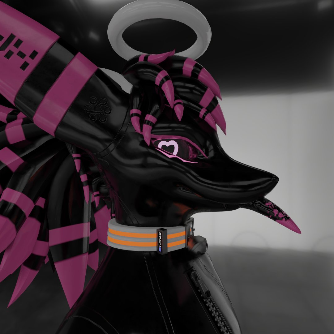 Furriest-Noir 🍥 tweet media