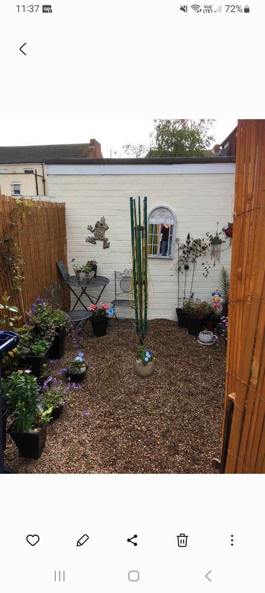 KLaura10's tweet photo. @NoContextBrits Transformed my mother in laws yard for her 60th when she was away 😃 https://t.co/Db7Elj1Gtg