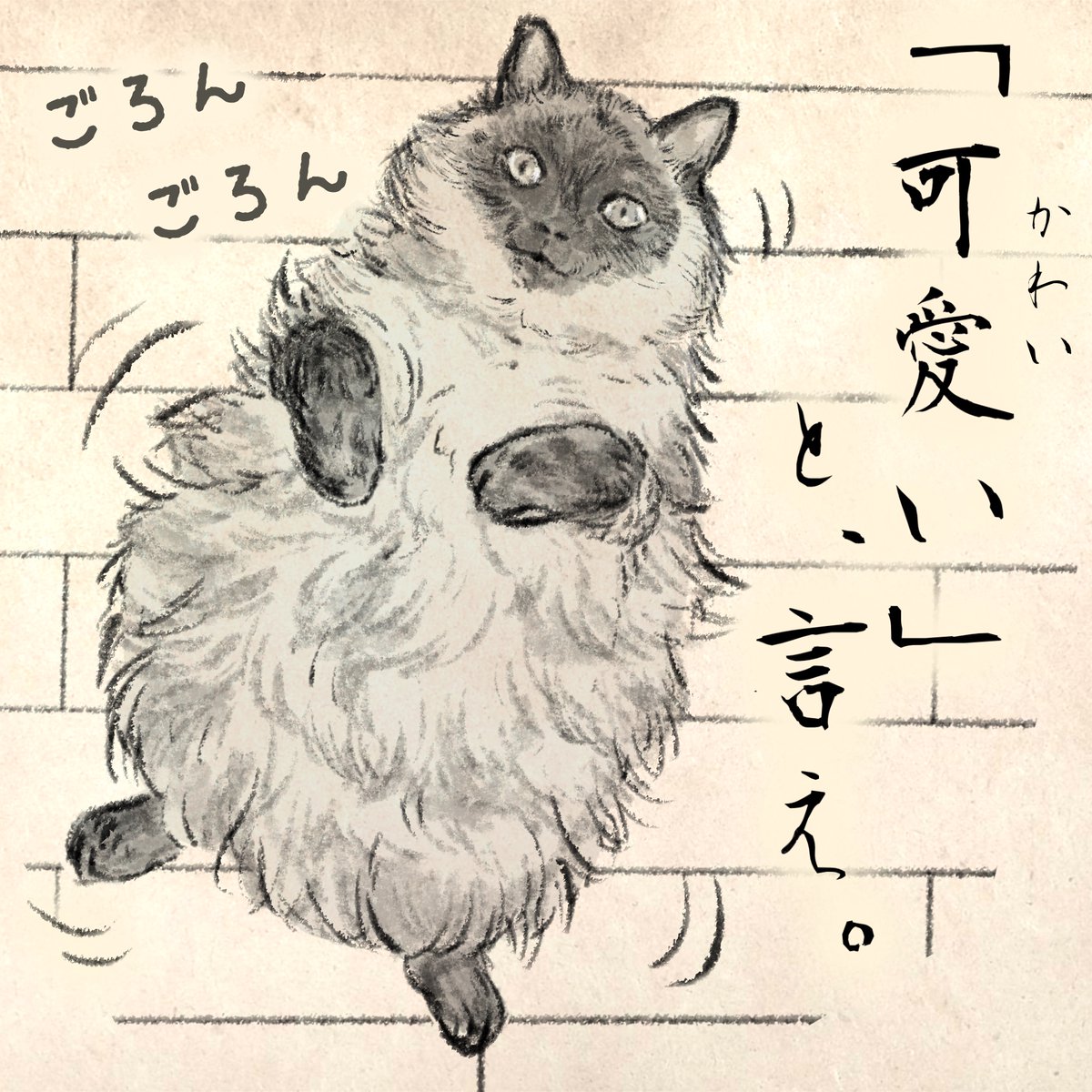 今日のネコちゃん。 
