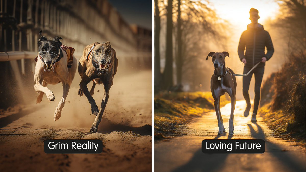 The_Blue_Cross's tweet photo. Greyhounds are family pets. They're not here for our entertainment. Yet sadly, between 2018 - 2022, the racing industry’s own stats revealed over 2,300 deaths. 💔 It's time to #EndGreyhoundRacing.

Join us and sign our petition today 👉 https://t.co/4kYh9lg4R8. #DontRaceEmbrace https://t.co/mhspLRRECR