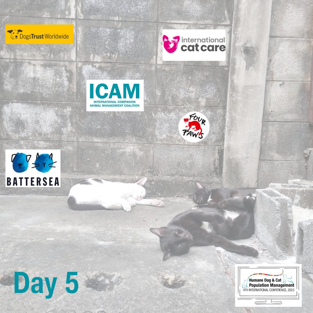 ICAMcoalition's tweet photo. On our final day of the conference @Battersea @DogsTrustWorldwide @FOURPAWS @ICatCare shared a fantastic “one-stop” presentation covering all the courses, resources and grants they offer. You can watch it back by following the link, it's not to be missed! #united4dogs #4dogscats https://t.co/ssJhVLvKW4