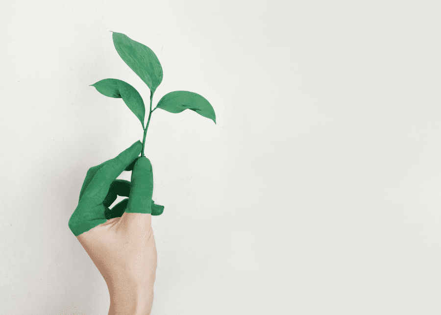 ninzoou #MoreThanHuman tweet media