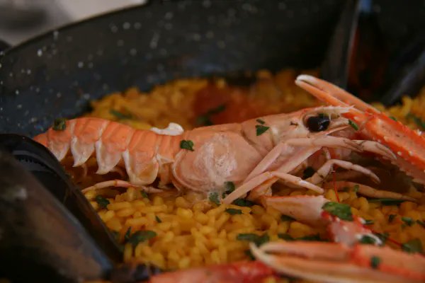 🦐🍴 ¡Comienza la Quincena de la Cigala de Gandía! 🎉Desde el día 4 de septiembre hasta el día 18🎉

Descubre mas en: bit.ly/45wEwAm

<a href="/visitgandia/">Visit Gandia</a> 
<a href="/ayto_gandia/">Ayuntamiento Gandia</a> 
<a href="/UPVCampusGandia/">Campus de Gandia | UPV</a> 
<a href="/aj_gandia/">Ajuntament de Gandia</a> 
#VisitaGandia #Gastronomia #Turismo