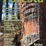 Photo by Revista Foresta (@RevForesta)