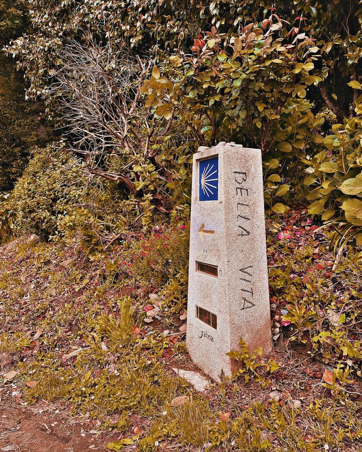 📸 Camino Francés (2023)

📸 caminayolvida 

#caminodesantiago #buencamino #galicia #a #caminofrances #santiagodecompostela #camino #spain #pilgrim #peregrino #xacobeo