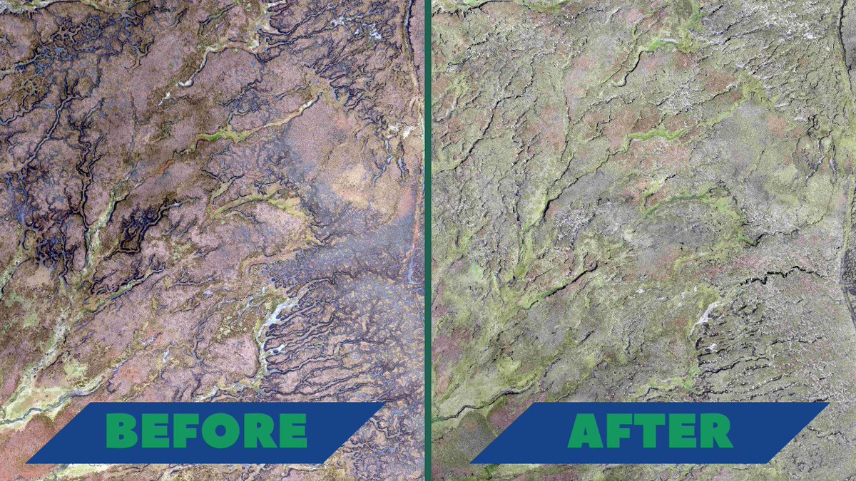 🌱 2020 vs. 2023 🌱

In 2020, restoration work kicked off at the County Durham upland peatland site. The change we've seen over the past three years is remarkable