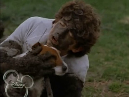 Disney_Wiki's tweet photo. Happy Birthday, Carter Jenkins
For Disney, he portrayed Preston Price in the 2005 Disney Channel movie, #LifeIsRuff. https://t.co/Pb9xcDkOD2