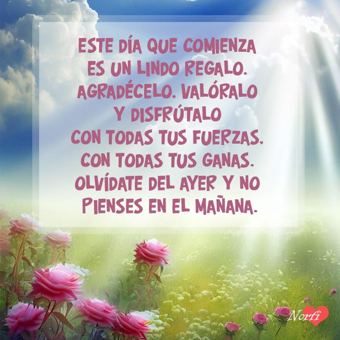 ¡Buenos días!
¡Feliz Lunes!
Hasta las flores de mi jardín se perfuman y se visten de colores, para desearte a ti, que tengas hoy un feliz día y una linda semana.
norfipc.com/amor/un-mensaj…
#buenosdias
#felizdia
