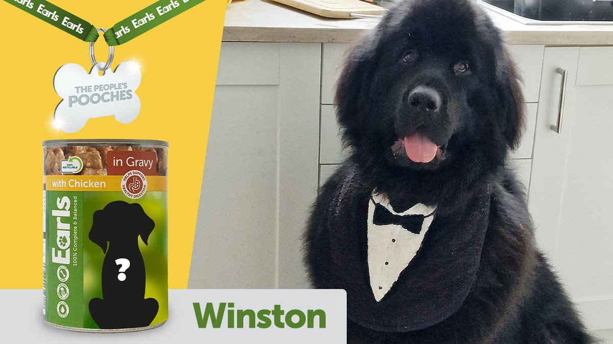 Aldi Stores UK tweet media