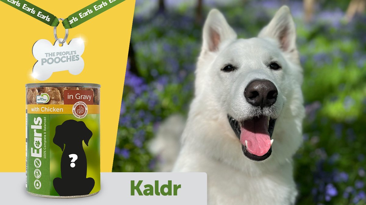 Aldi Stores UK tweet media