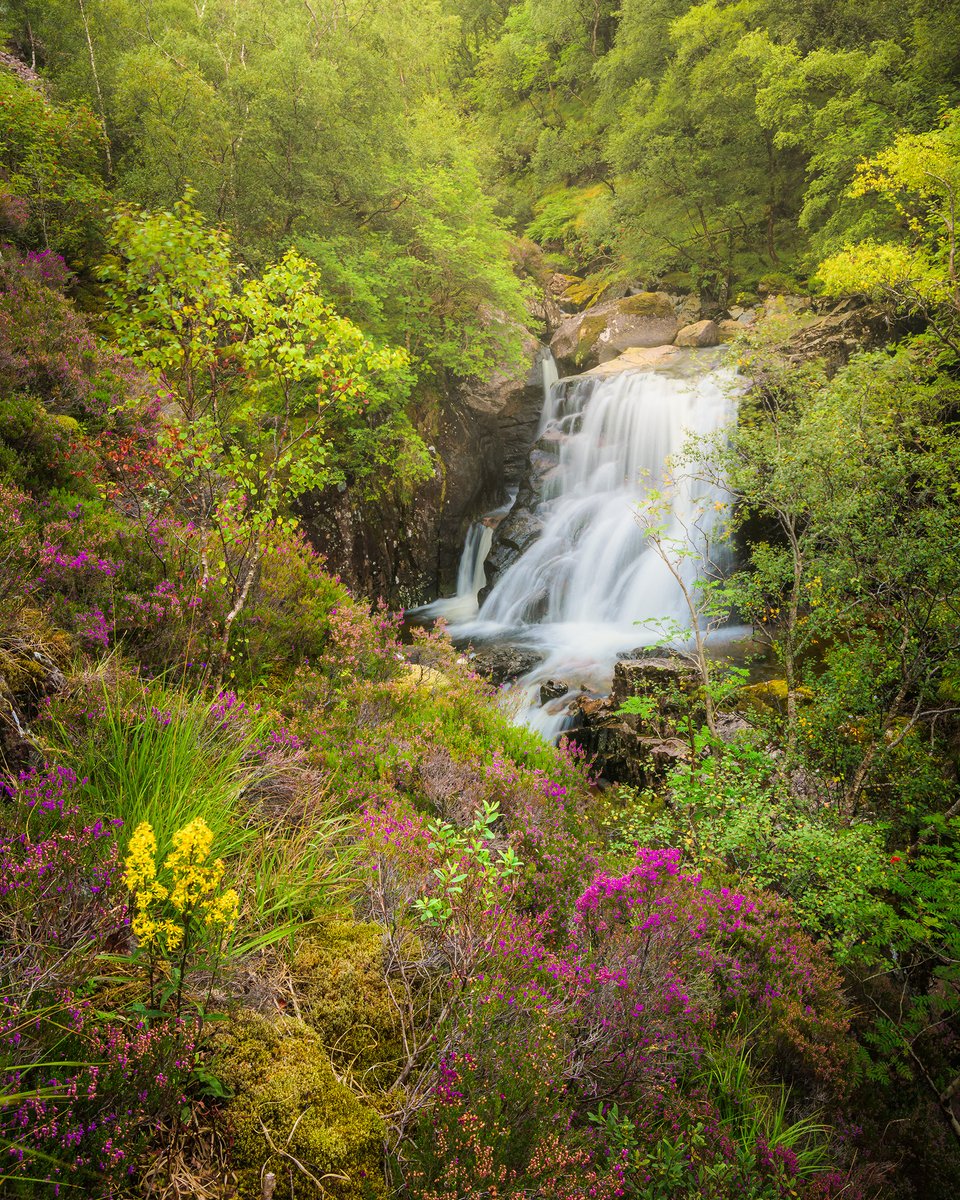 DamianShields1's tweet photo. Hidden falls, Glen Coe #RiverCoe #Scotland #Highlands https://t.co/ERVTYHnQjn https://t.co/3OXe9rfFjY