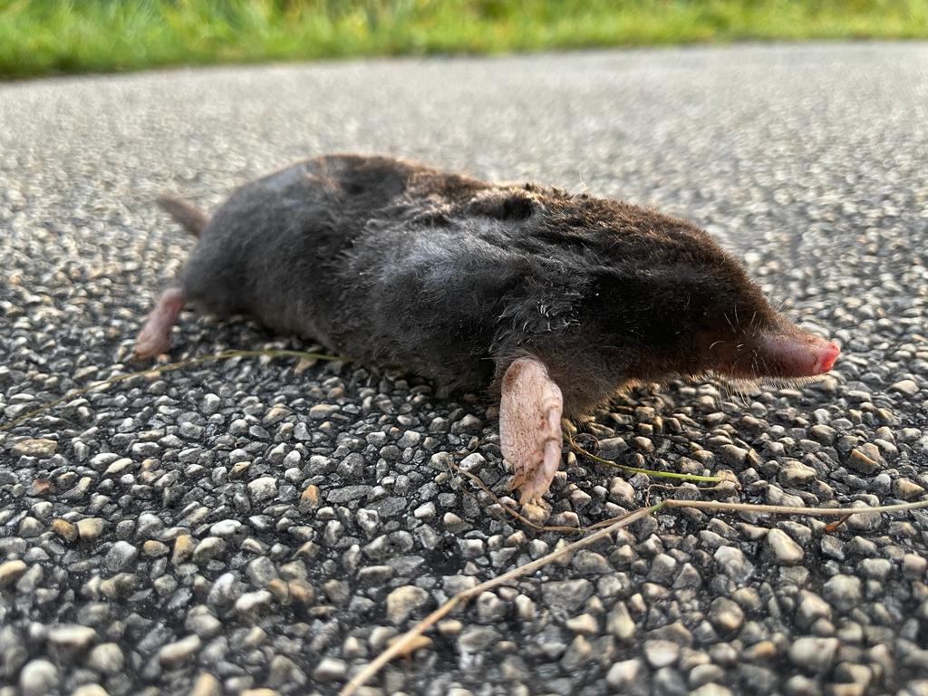 Estatica tweet media