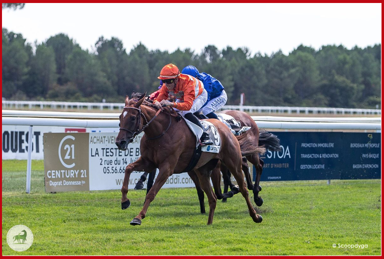 🎗️La fille de l'étalon #MountNelson, UNE PERLE, élevée par Mr Jean Claude Seroul s'est imposé dans le Prix Occitanie, Listed, sur l' @HippoLaTeste (01/09) !
Félicitations à tout son entourage 🙌
#VivelElevageFrançais #guardiansofthethoroughbred #BreedInFrance #RaceAndCare