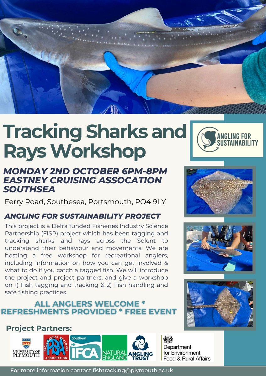 Join us in Southsea on Monday 2nd October for a shark and ray tracking workshop! Following our black bream sessions, we'll be joined by #AnglingforSustainability partners at this free event focused on tope, smooth hound and undulate ray.

Learn more ⬇️
anglingtrust.net/sea/sea-anglin…