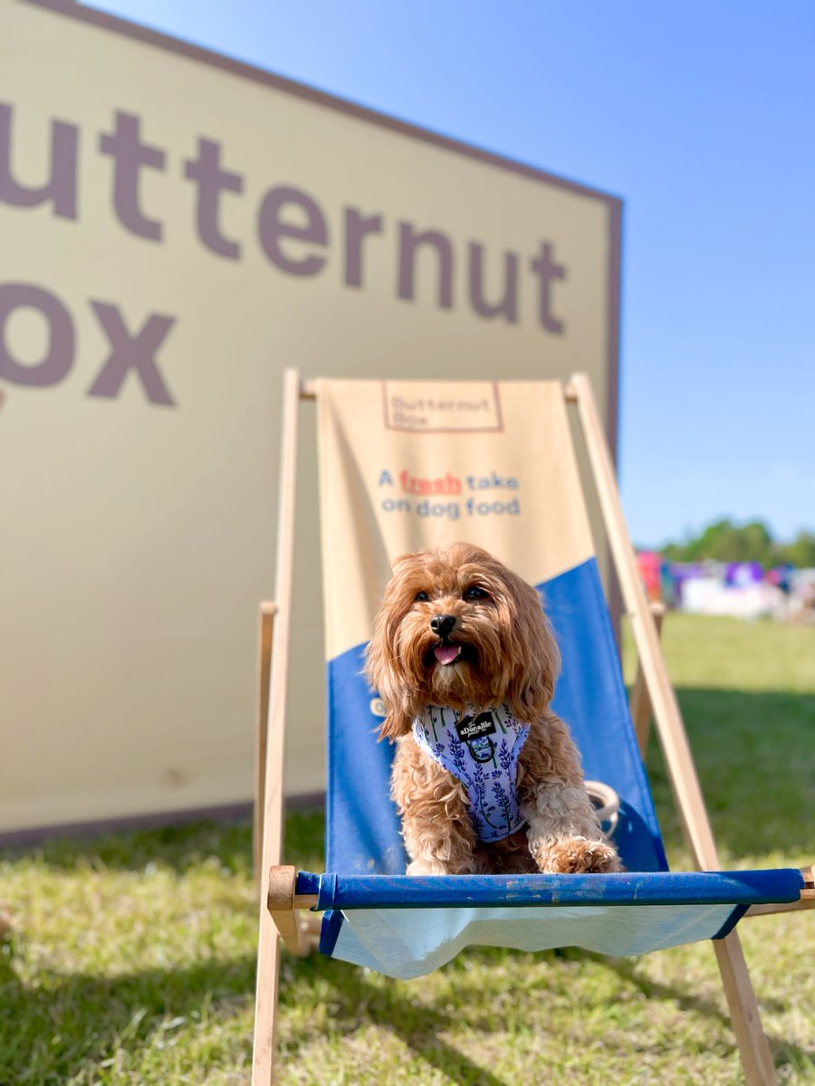 DogfestUK's tweet photo. Visit the @ButternutBox taste truck at DogFest this September and let your pup indulge in some free FRESH food and treat samples from our amazing Fresh Dog Food Partner! 🐶 🦴
To find out more head to https://t.co/KejwACpq1u
#DogFest #ButternutBox https://t.co/ky2Zz6eplH