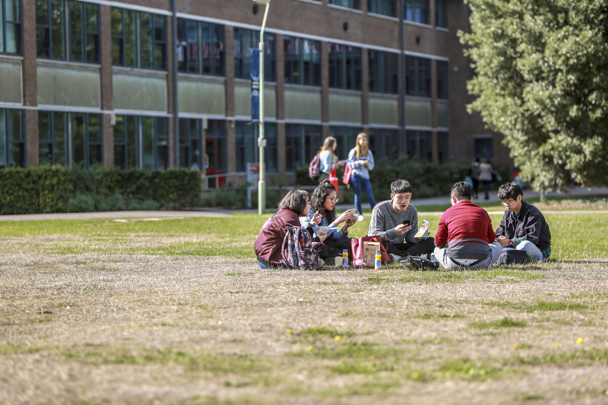 It's time for all our undergraduate students, new and returning, to complete online enrolment and confirm they'll be joining us for this academic year.
 
Learn more at rdg.ac/3P634tc

We can't wait to welcome you to campus soon! 🤩