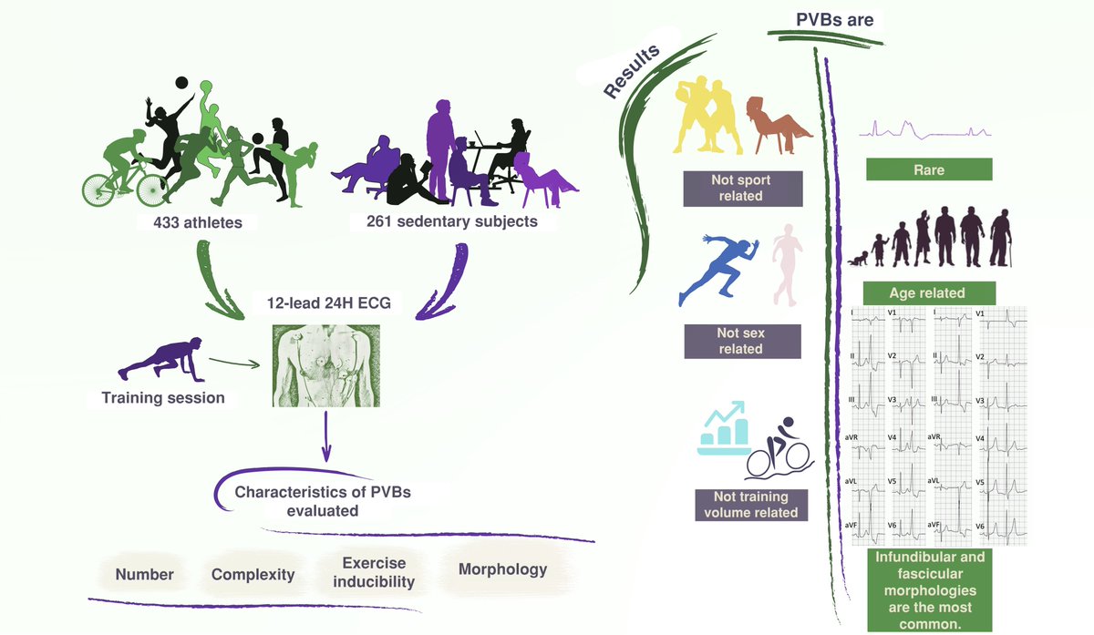 Sports_CardioNL's tweet image. Ventricular arrhythmias recorded on 12-lead ambulatory electrocardiogram monitoring in healthy volunteer athletes and controls: what is common and what is not academic.oup.com/europace/artic… 
#SportsCardiology #athlete #PVB