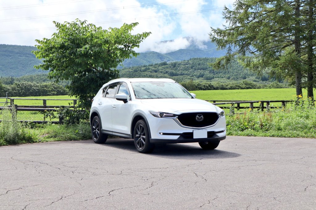 マライア・キャリーと同じ誕生日 tweet media