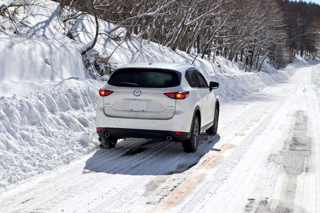 マライア・キャリーと同じ誕生日 tweet media