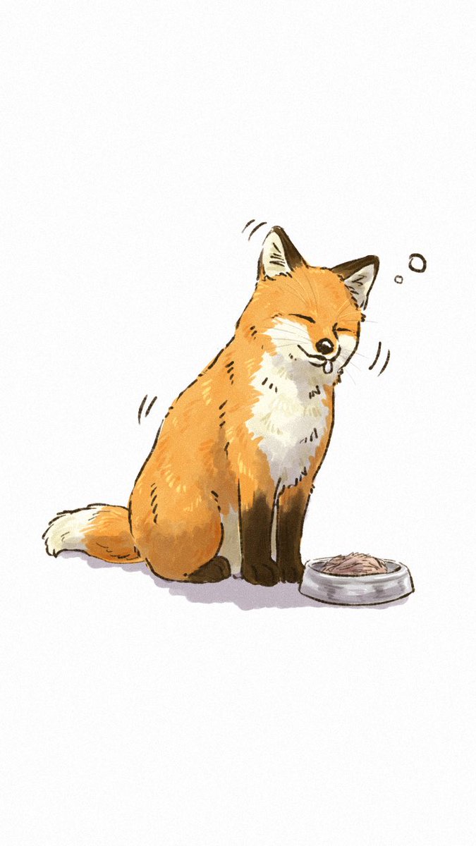夏朱 優衣/ 書籍「きつねと一緒に暮らしたら」5月18日発売🦊 tweet media
