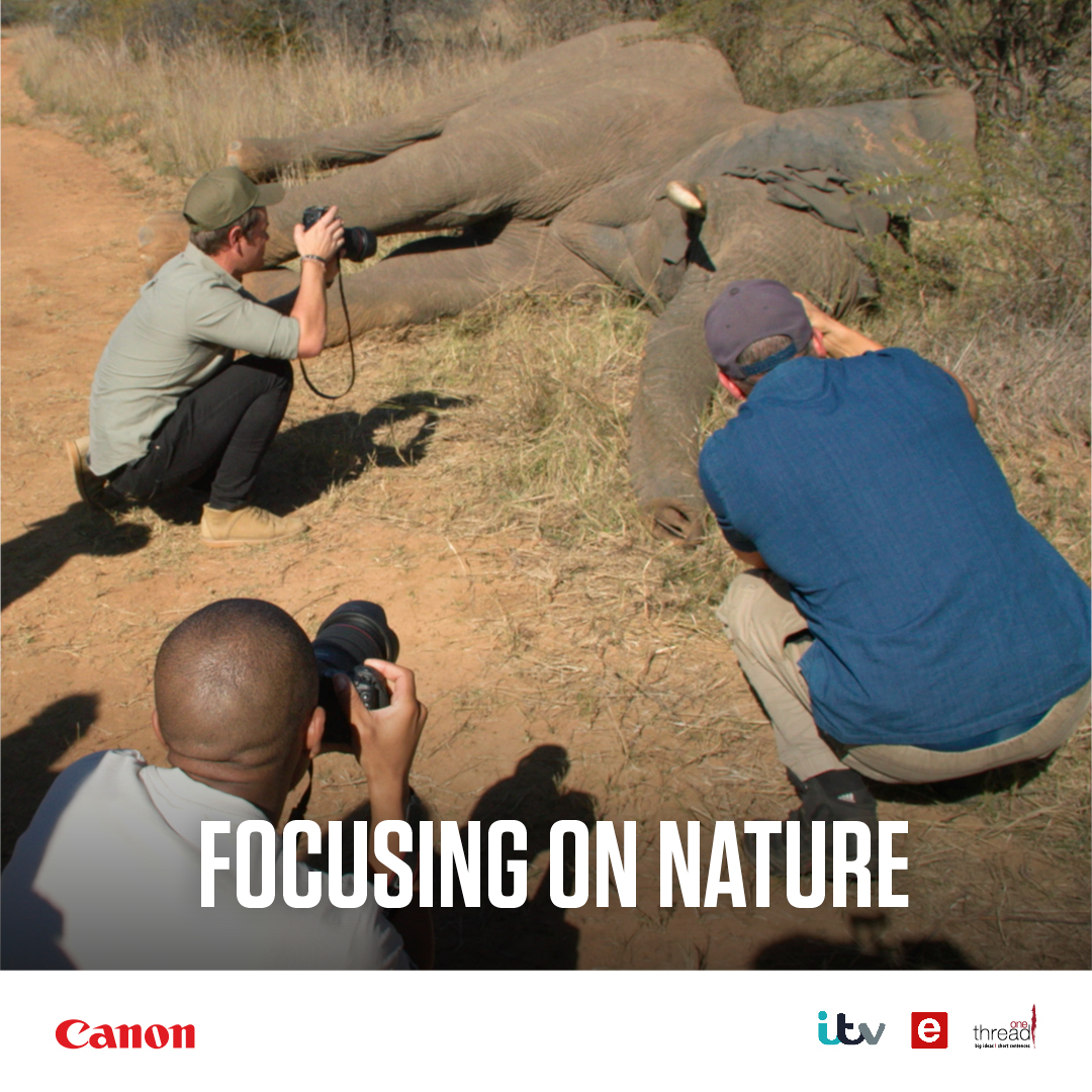 CanonRSA's tweet photo. 🌿📸 Nature takes the spotlight in the upcoming episode of The Perfect Picture as contestants focus on capturing its breathtaking beauty – don't miss this visual journey! 🏞️🌟 

#ThePerfectPicture #FocusingOnNature #TuneInNow https://t.co/bqOJitskEU