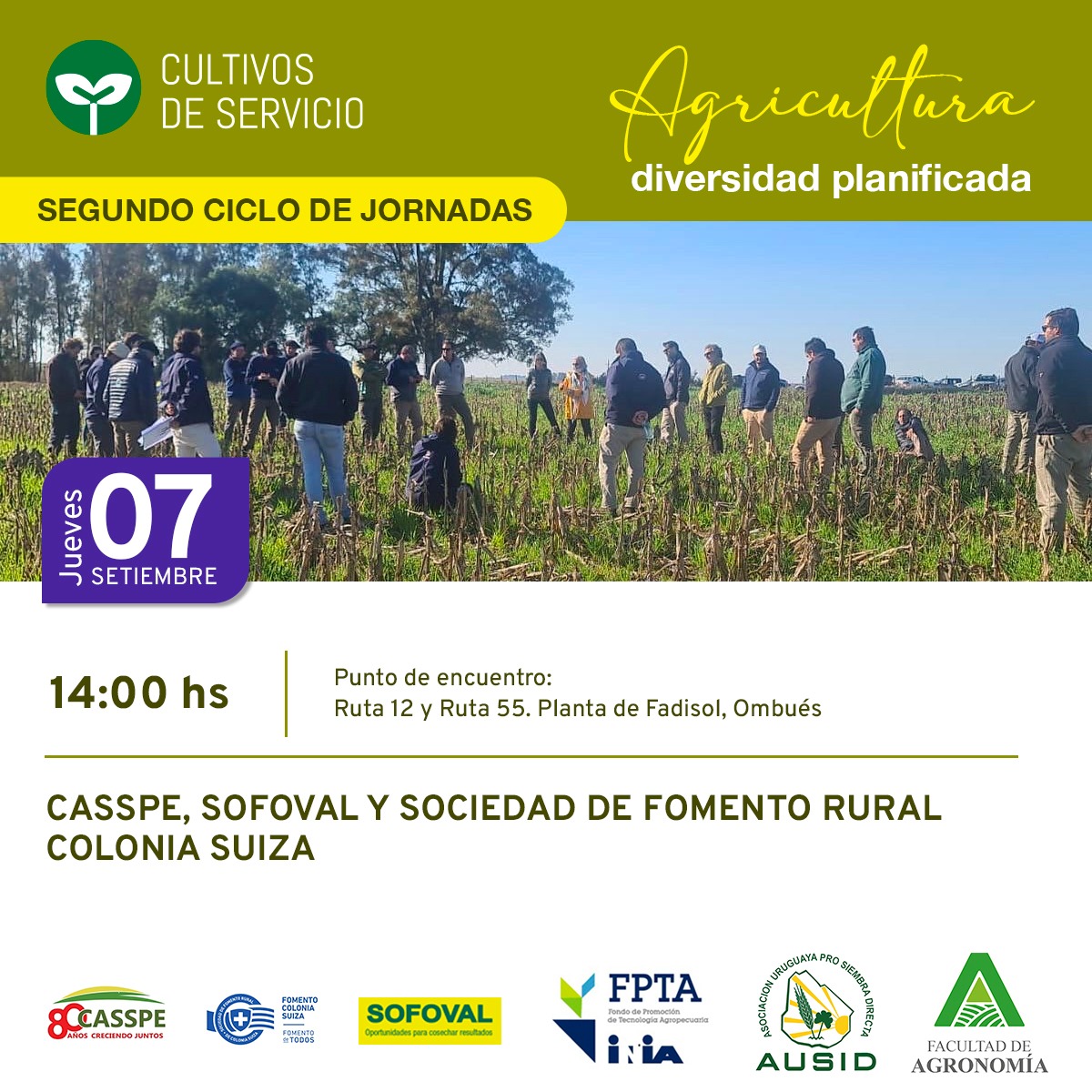 Vamos a hacer una recorrida por dos situaciones. Una vicia sembrada al voleo y una mezcla. Vamos a discutir entre otras cosas en la posibilidad de diferir la fertilización fosfatada en el CS, el control de malezas y sobre manejo general. Participan investigadores de INIA y FAGRO.