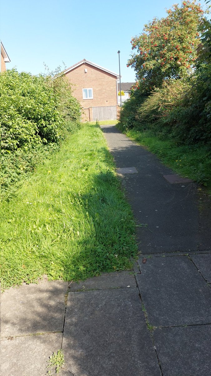 K2 Window Cleaning tweet media