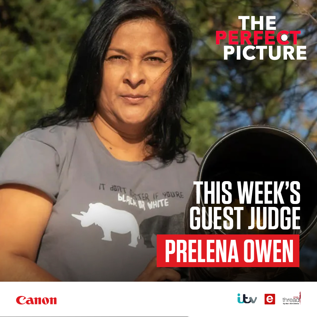 CanonRSA's tweet photo. 📸✨ Join us in welcoming Prelena Owen as this week's guest judge on The Perfect Picture, bringing fresh insights and expertise to our contestants' visual storytelling journey! 🌈🎉 

#ThePerfectPicture #GuestJudge #PrelenaOwen https://t.co/ma8i0WOZLm