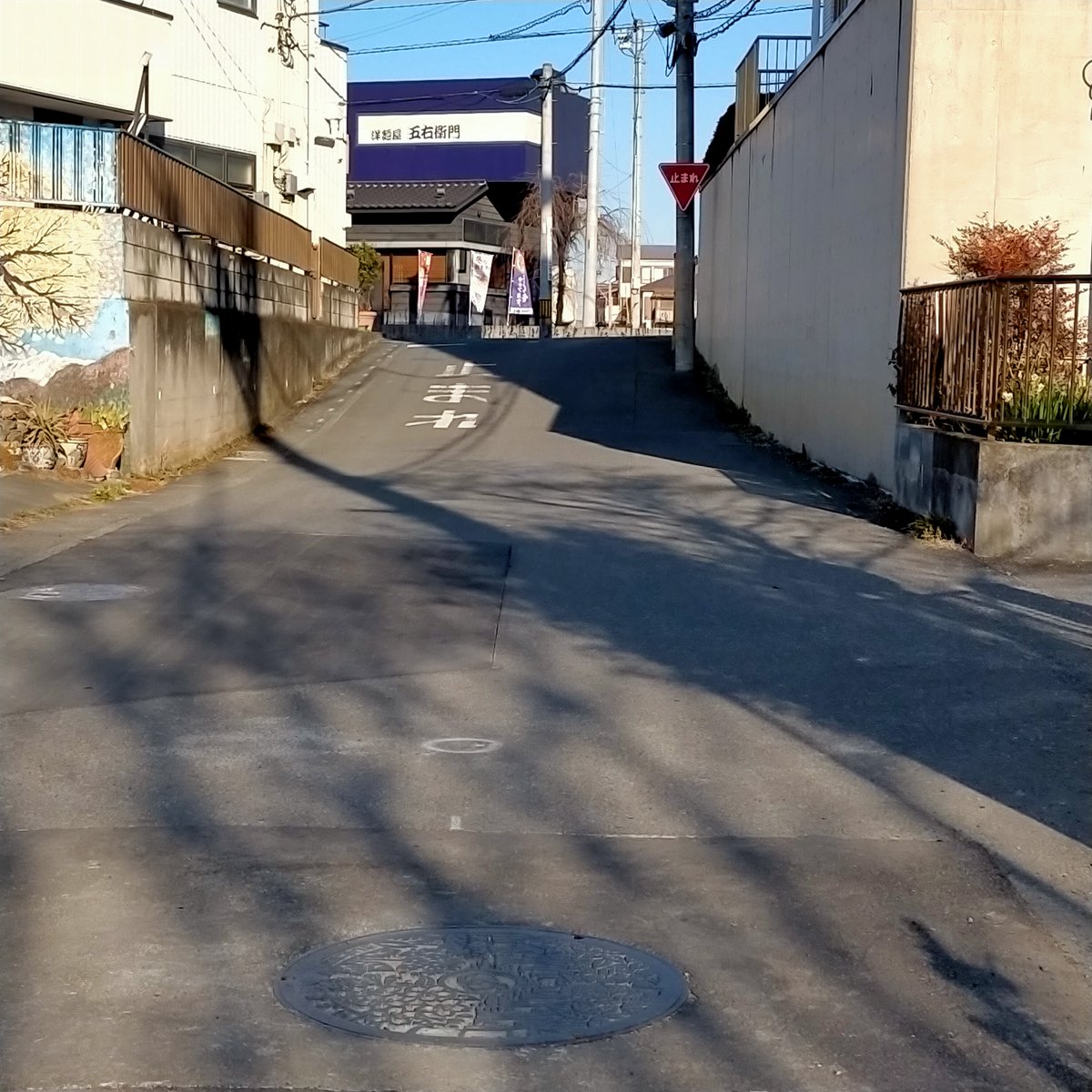 【Manhole Cover with Cherry Blossoms, Zelkova and Primroses】
City: Saitama, Japan
Photo by Takashi Honda (January 2023)
［Artwork No. 570］
#PublicArt #StreetArt #PAbyTH #Graffiti #Mural

《E-book: Public Art》
amazon.com/dp/B0C6B5VBVD