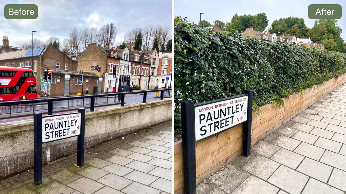 Meristem Design (@meristemdesign) on Twitter photo Did you know that green screens on roadsides reduce N02 & PM10's by between 36%-41% from passing vehicles according to research by <a href="/KingsCollegeLon/">King's College London</a>
🌿We've installed 70m of ivy screens along the busy A1 Archway Rd <a href="/IslingtonBC/">Islington Council</a> to reduce pollution & increase the local biodiversity Did you know that green screens on roadsides reduce N02 & PM10's by between 36%-41% from passing vehicles according to research by <a href="/KingsCollegeLon/">King's College London</a>
🌿We've installed 70m of ivy screens along the busy A1 Archway Rd <a href="/IslingtonBC/">Islington Council</a> to reduce pollution & increase the local biodiversity