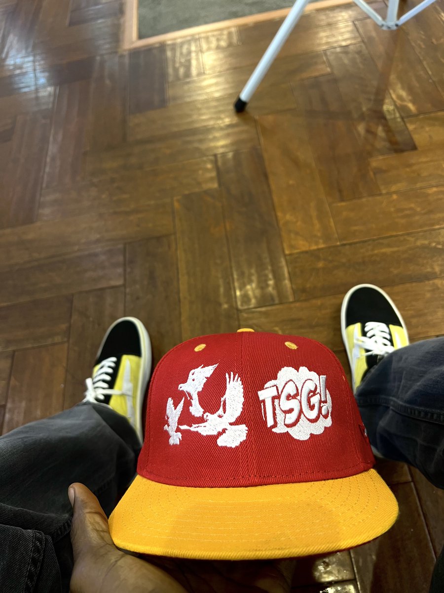 TSG tweet media