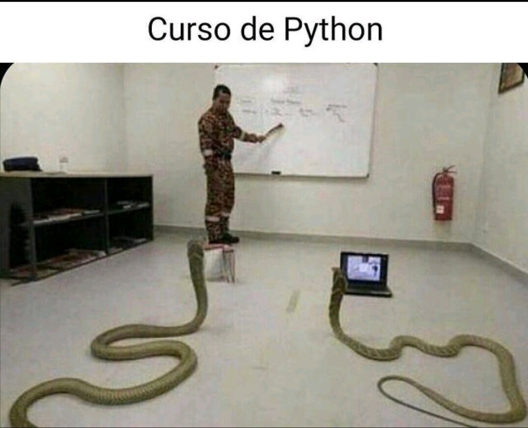 WalaceDeveloper's tweet image. Curso de python tá diferente ultimamente
#Python #programacao #cursodeprogramacao #segundou