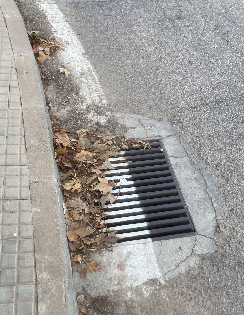 SocialistesdMca's tweet photo. Davant l’inici de les tempestes de finals d’estiu, els socialistes de Felanitx demanen a l’Ajuntament que netegi embornals i el jaç del torrent urgentment. @Felanitxpsoe 

ℹ️👉🏽 https://t.co/IYvpFUXjjV https://t.co/mdPai1FnNx