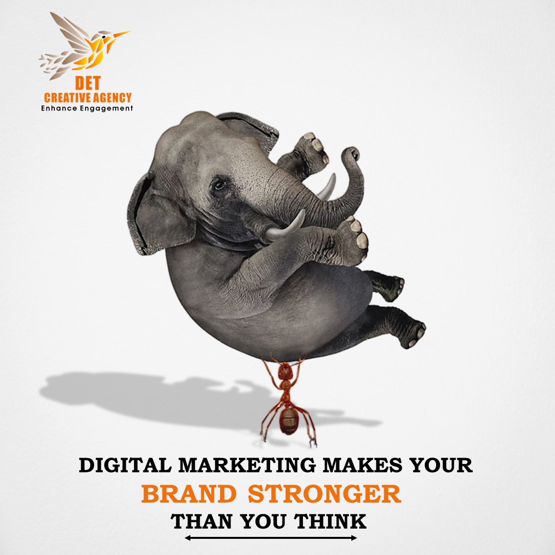DETCreativeAgcy's tweet photo. "Level up your brand with digital marketing.✌️
.
.
DET Creative Agency, Lucknow
For Any Support: Call: 8467049766
.
.
#digitalmarketing2023 #brandstrategy #det #DigitalStrategy #marketingtips #socialmedia #trendingnow #TwitterX #digitaladvertising #brandbuilding #MarketingTrends https://t.co/whtFyWaoeG