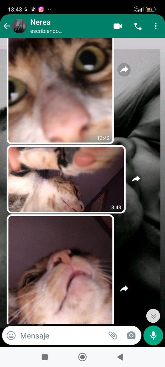 <a href="/NereaPrez7/">𝑵𝒆𝒓𝒆𝒂 𝒑𝒆𝒓𝒆𝒛</a> si la gata tuviera móvil jajajjajajajajjajsj🤣🤣