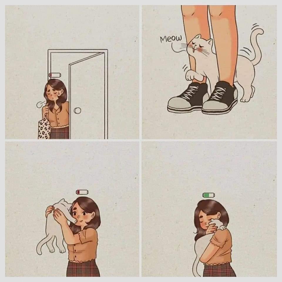 saludmental1's tweet photo. ¡A recargar energías! https://t.co/HRfSY1kjoK